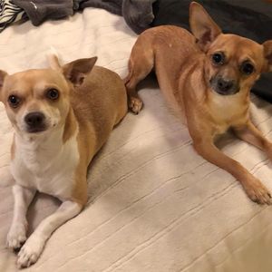 Meet your Posher, Brooke